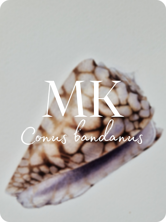 МАРМУРОВА МУШЛЯ